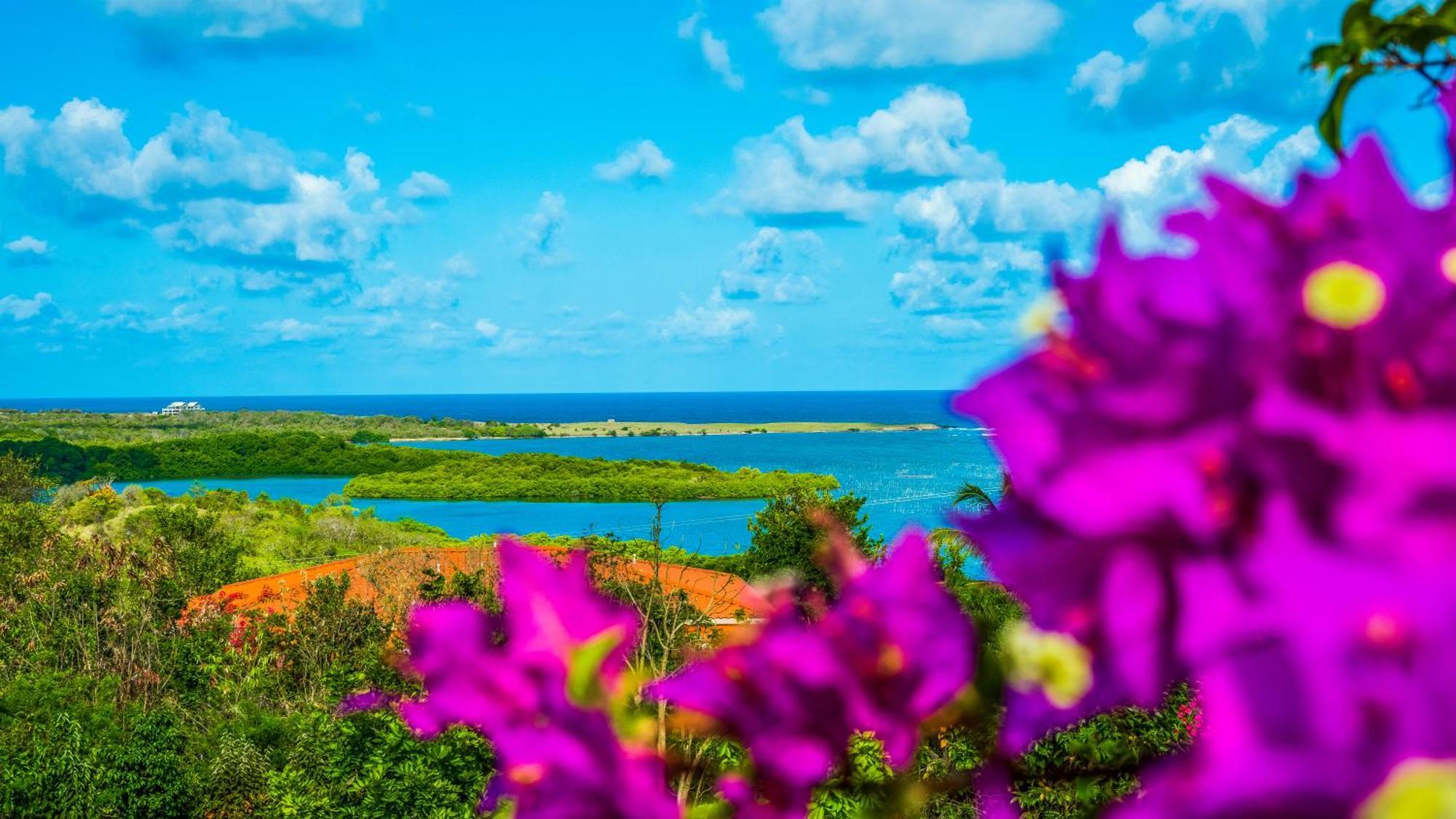 Castles In Paradise Villa Resort Vieux Fort Saint Lucia Exterior foto